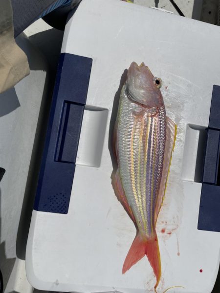 初めての銅付き仕掛け