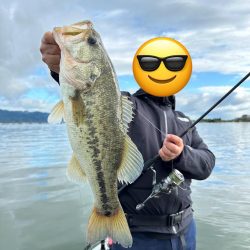 ウィードパッチでRDS