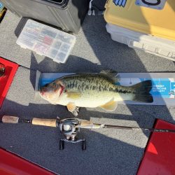 北山田45〜39cm 3匹