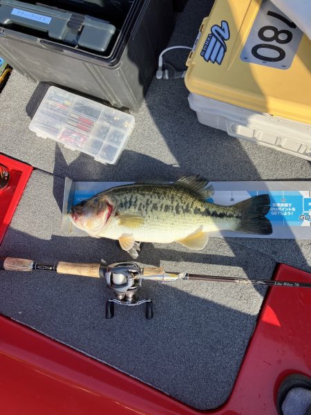 北山田45〜39cm 3匹