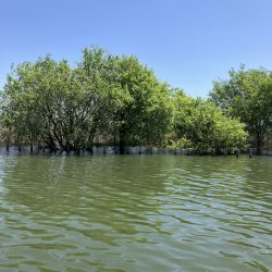 北山田サイト40、35cm