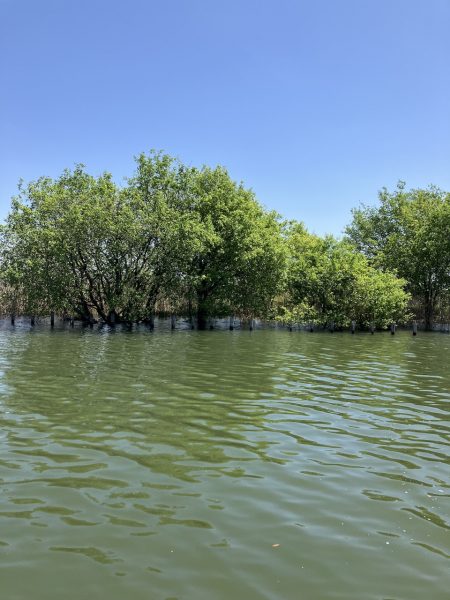 北山田サイト40、35cm