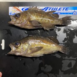 アミパターンから完全バチパターンへ