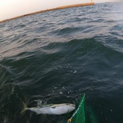 初チャーター便