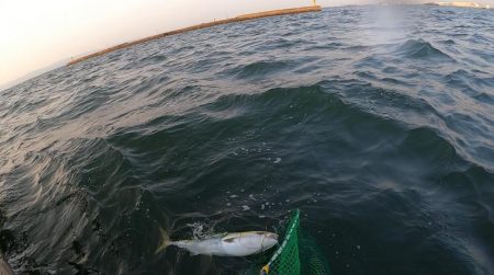 初チャーター便