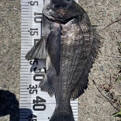 年無し10匹‼️