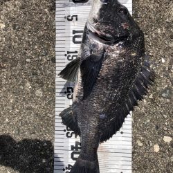 イチノ兄弟、釣果!