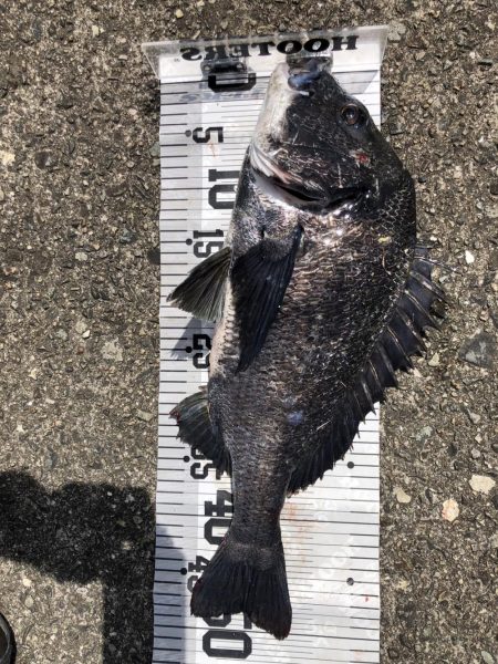 イチノ兄弟、釣果!