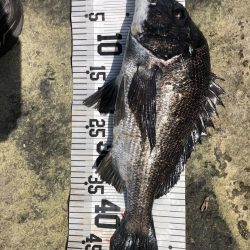 イチノ兄弟、釣果!