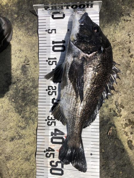 イチノ兄弟、釣果!