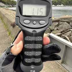 風裏に誘われて