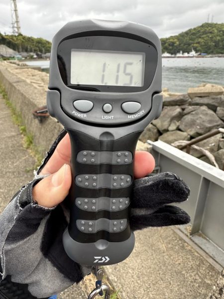 風裏に誘われて