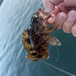 ガッシーは裏切らない