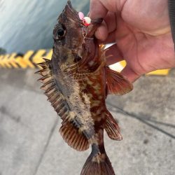 癒やしのガッシー2nd