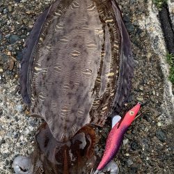 本命かと・・・?