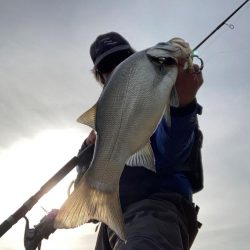 磯ヒラスズキ釣行