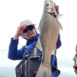 安全確保の磯ヒラスズキ