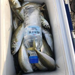 いつもの友達とアジング