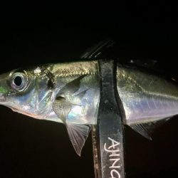 アジングイベント06