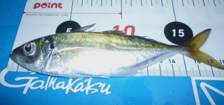 2024、5/16～17日の深夜から翌朝ま…