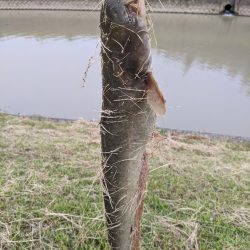 今日もちょっとだけ寄り道