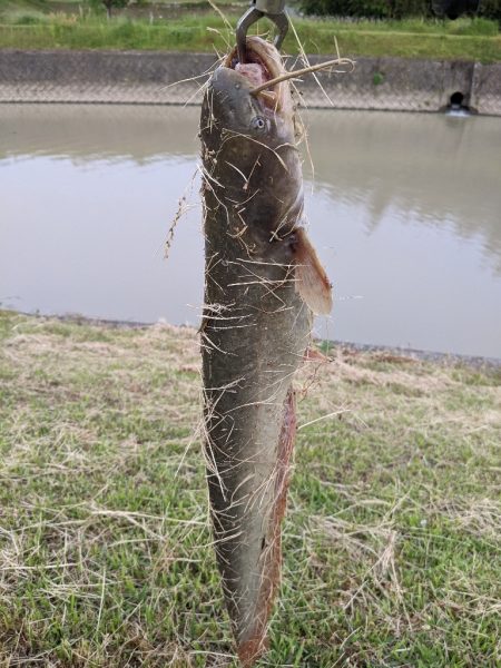 今日もちょっとだけ寄り道