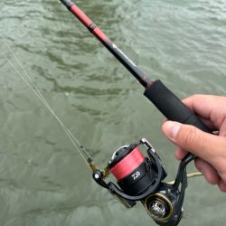 チニングならぬマゴチング