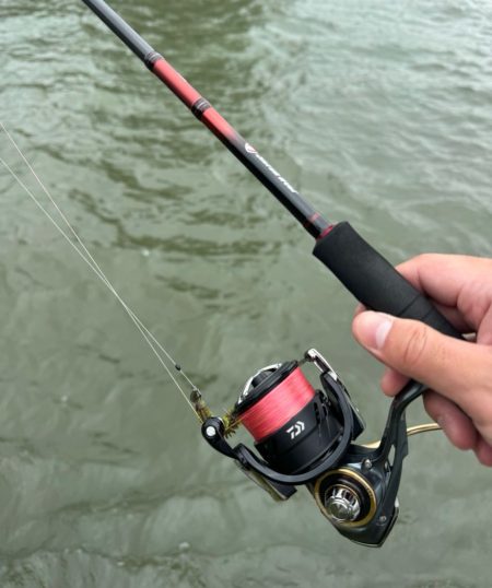 チニングならぬマゴチング