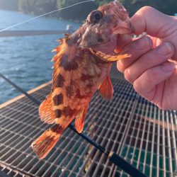 一年以上ぶりに来てみたら値上がりしてました!