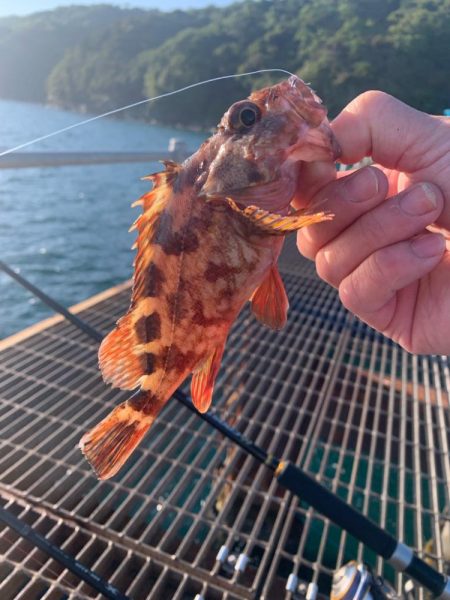 一年以上ぶりに来てみたら値上がりしてました!