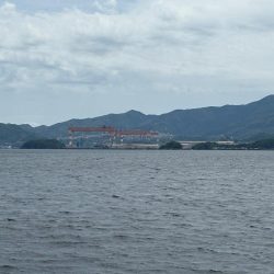 アラカブ(ガシラ③)