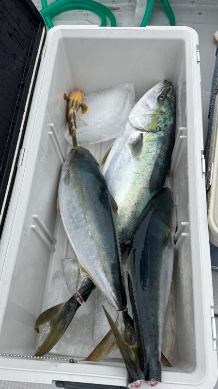 初の丹後ジギングで、まさかのトップ爆発&#…