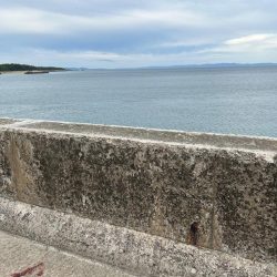 ショアジギング