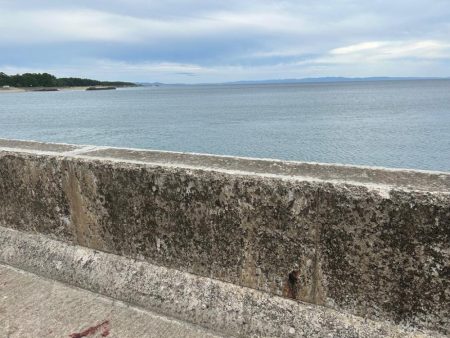 ショアジギング