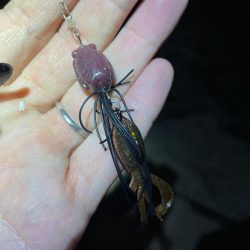 淀川ブリームゲーム