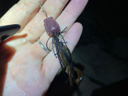 淀川ブリームゲーム