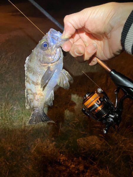 イベント入れ替えならず