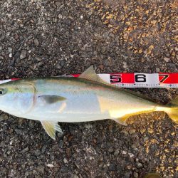 やっと春が来たにゃ！