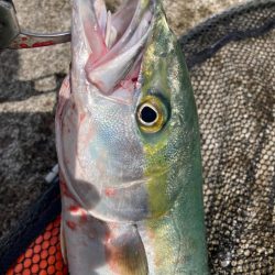 2024ライトゲーム第16戦