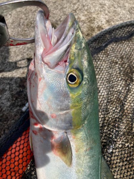 2024ライトゲーム第16戦