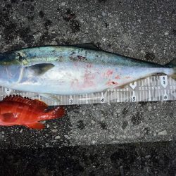 Gw★毎年恒例四国遠征!!!!!!!!!!