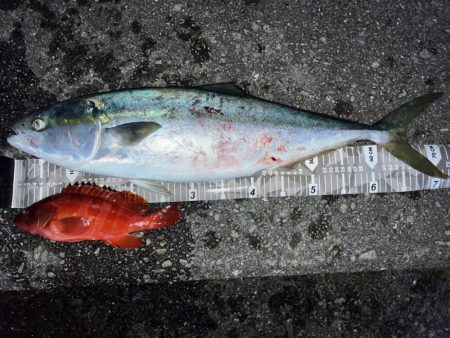 Gw★毎年恒例四国遠征!!!!!!!!!!…