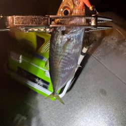 淡路島 北淡釣行