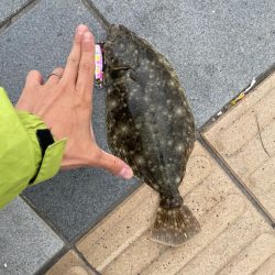 青物回ってきてません。どこに行った！？