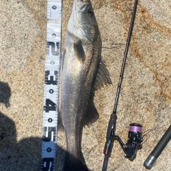 ゴミがいっぱいだけど釣れる