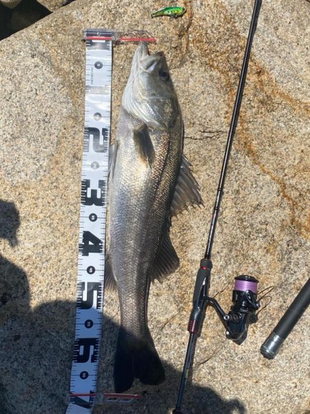 ゴミがいっぱいだけど釣れる