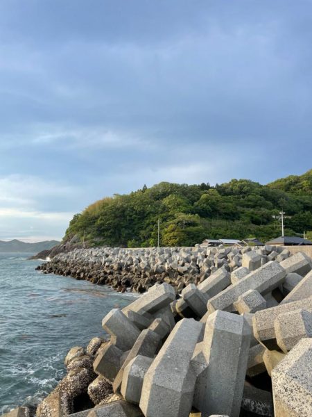 アジとメバルが交じる！