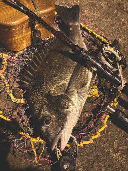 ヘチってきました