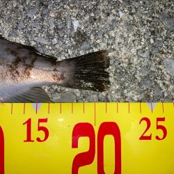 記録更新をめざす!