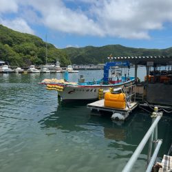 あなたに逢い鯛釣り堀